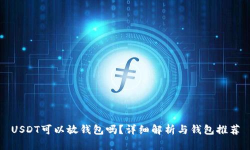 USDT可以放钱包吗？详细解析与钱包推荐